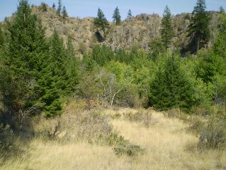Ravine leads to an oasis of green, must be water underground here, Oliver Mtn 2011-09.